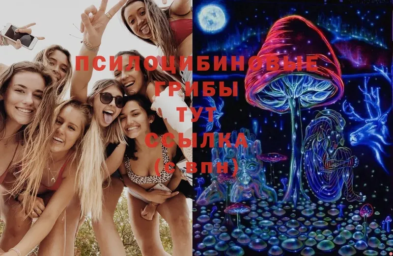 Псилоцибиновые грибы MAGIC MUSHROOMS Алексин